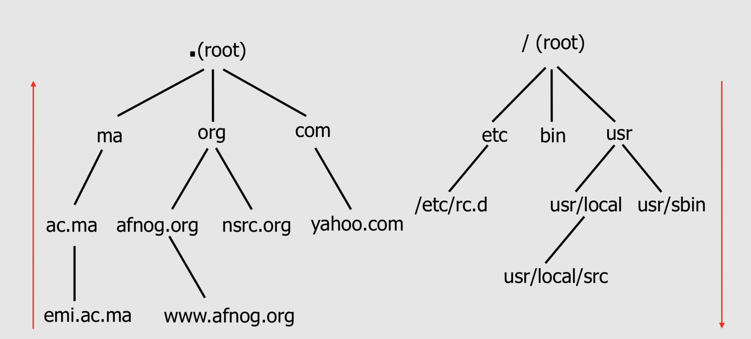 dns tree structure